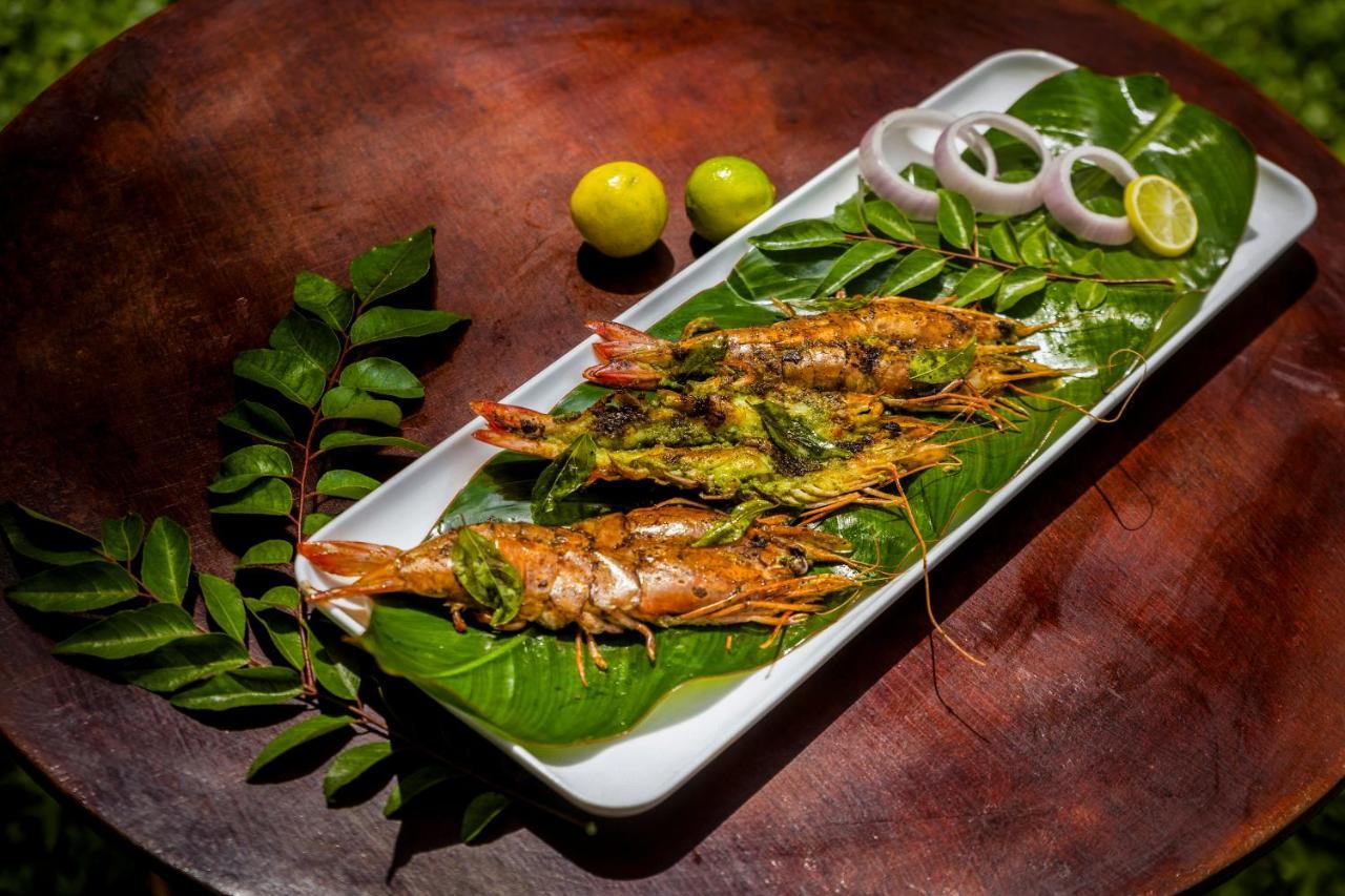 Sterling Vythiri Wayanad Hotel Kültér fotó